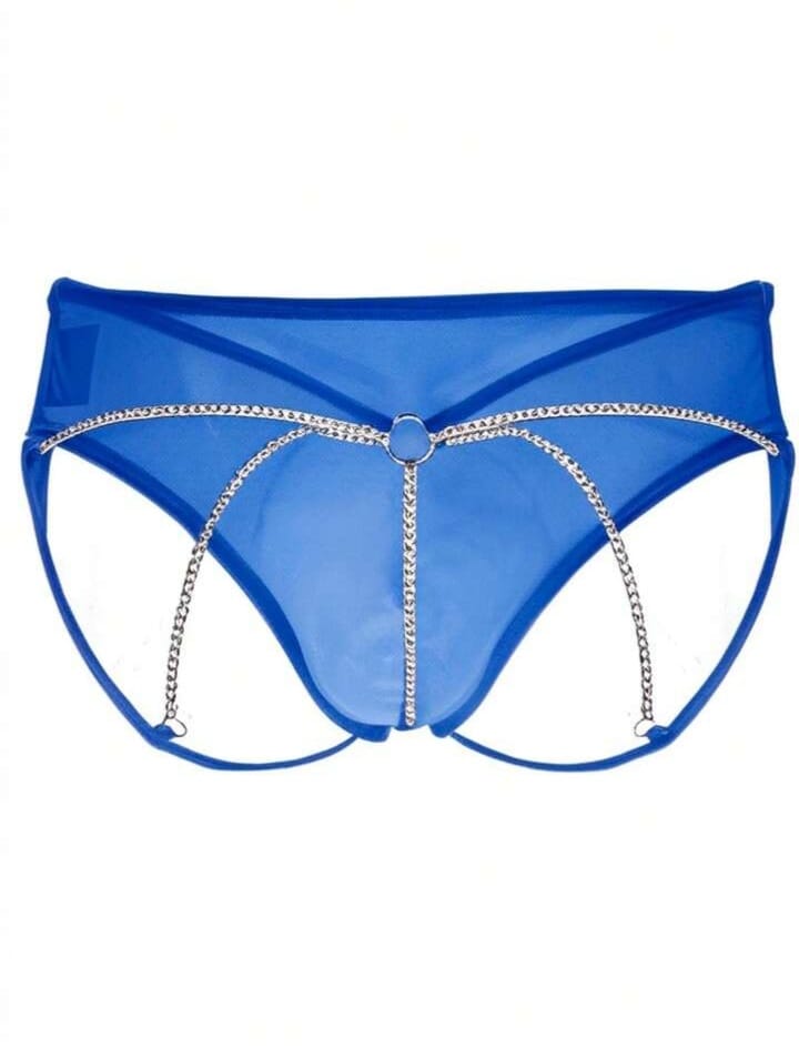 Transparent chain-detail mesh briefs